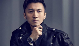 谢霆锋电视剧,谢霆锋的影视传奇之旅